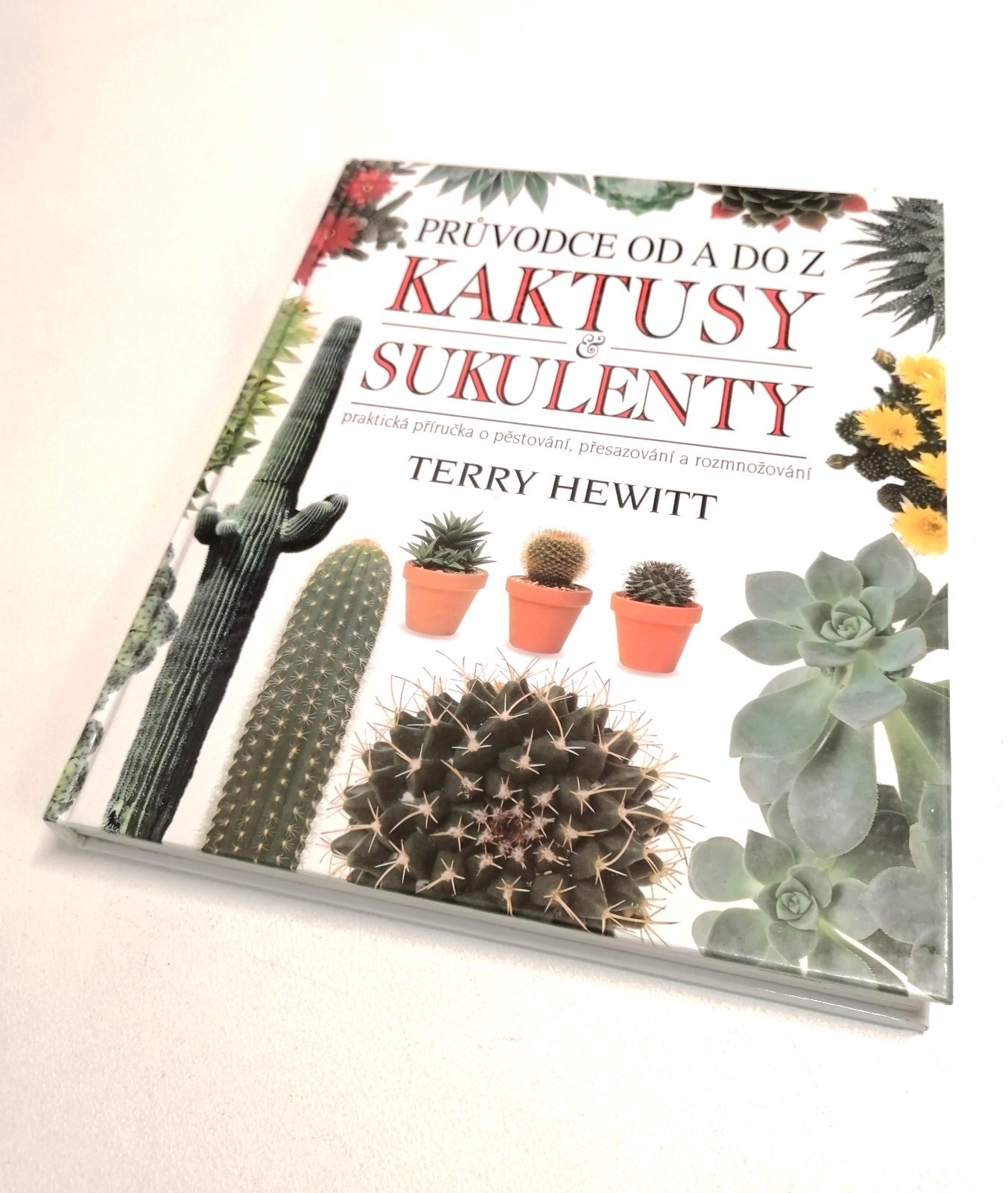 Kaktusy a sukulenty, Terry Hewitt