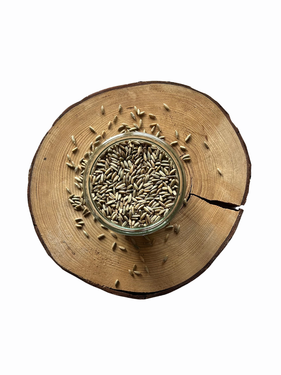 Žito BIO – z rakouské biofarmy