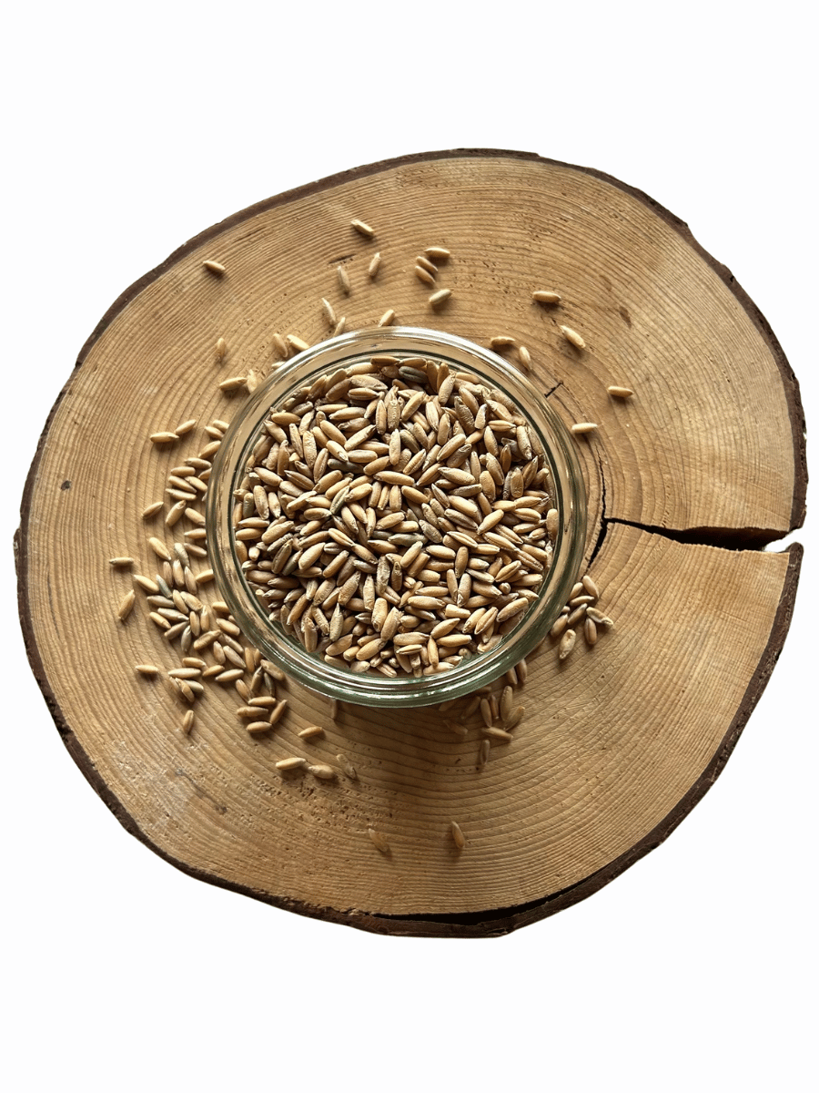 Žito světlé BIO – z rakouské biofarmy