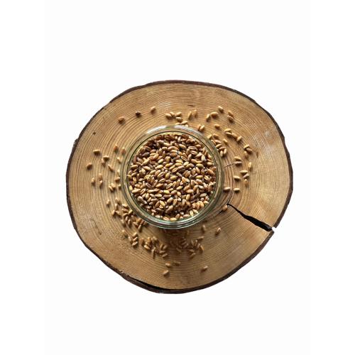 Zlatokvětá pšenice BIO – z rakouské biofarmy