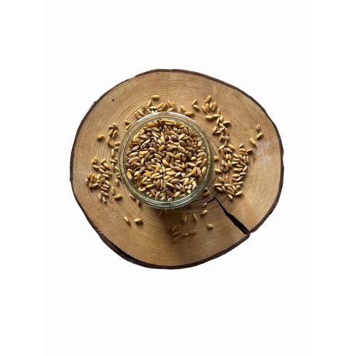 Korosánská pšenice KAMUT BIO – z rakouské biofarmy